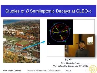 Studies of D Semileptonic Decays at CLEO-c