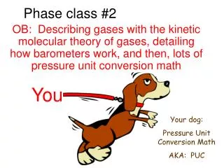 Phase class #2