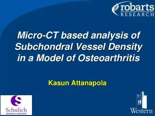 Micro-CT based analysis of Subchondral Vessel Density in a Model of Osteoarthritis