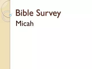 Bible Survey