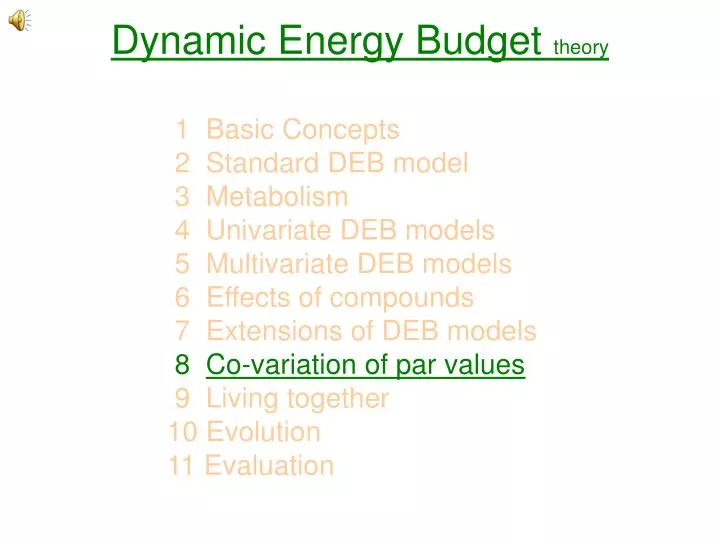 dynamic energy budget theory