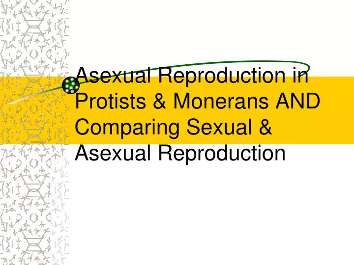 asexual reproduction in protists monerans and comparing sexual asexual reproduction