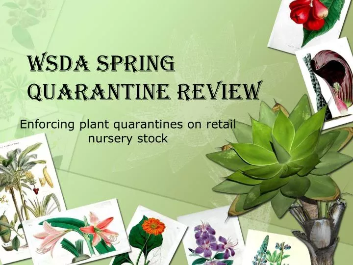 enforcing plant quarantines on retail nursery stock