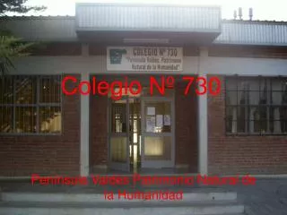colegio n 730