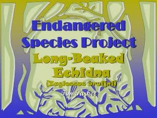 Endangered Species Project