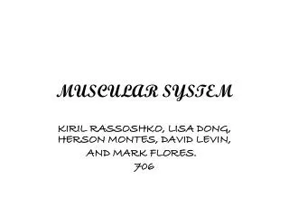 muscular system