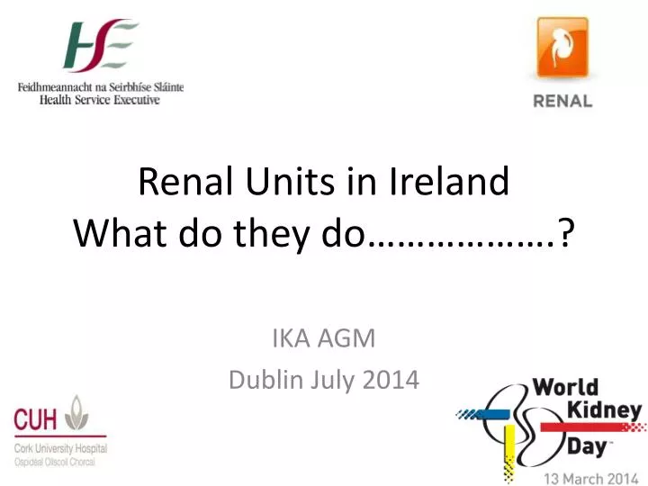 renal units in ireland what do they do