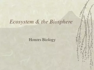 Ecosystem &amp; the Biosphere