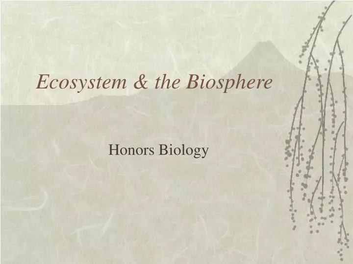 ecosystem the biosphere