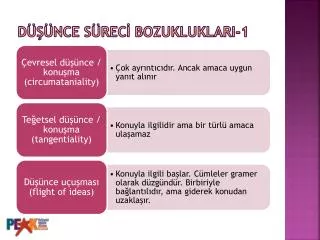 d nce s rec bozukluklari 1