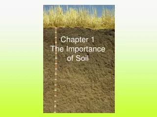 Chapter 1 The Importance of Soil