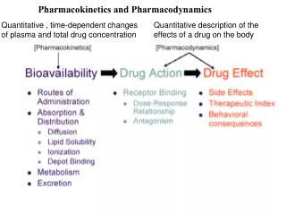 Quantitative description of the effects of a drug on the body