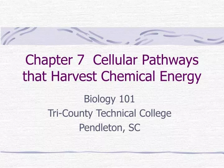 chapter 7 cellular pathways that harvest chemical energy