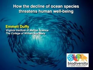 How the decline of ocean species threatens human well-being
