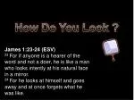 The Divine Mirror: Reflecting on Faith and Action in Christ - slide 1