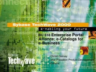 BU 618 Enterprise Portal Alliance: e-Catalogs for e-Business