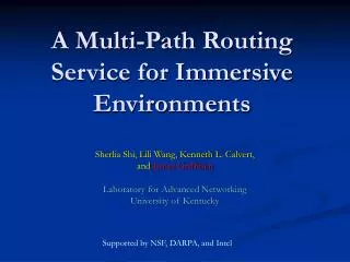 A Multi-Path Routing Service for Immersive Environments