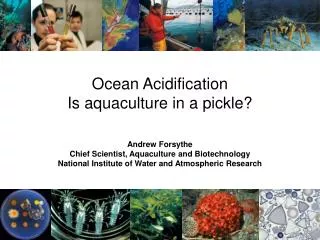 Ocean Acidification Is aquaculture in a pickle?