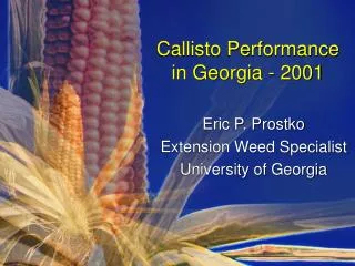 Callisto Performance in Georgia - 2001