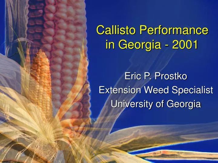 callisto performance in georgia 2001