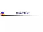 PPT - HEMOSTASIS PowerPoint Presentation, Free Download - ID:2238933