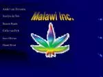 Malawi Inc. - slide 1