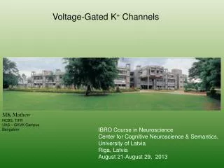 Voltage-Gated K + Channels