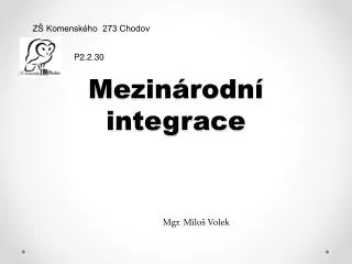 mezin rodn integrace