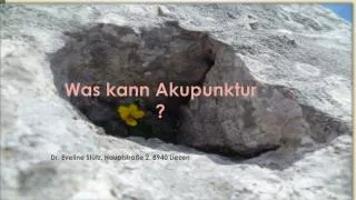 was kann akupunktur