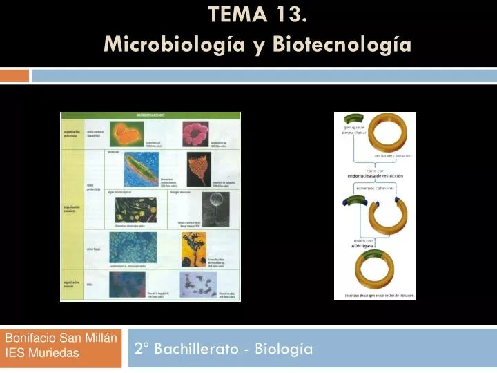 tema 13 microbiolog a y biotecnolog a