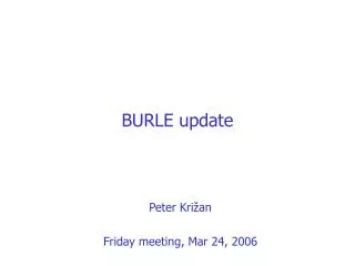 BURLE update