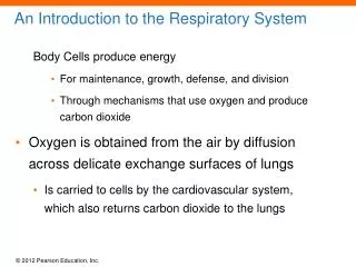 An Introduction to the Respiratory System