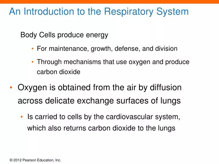 an introduction to the respiratory system