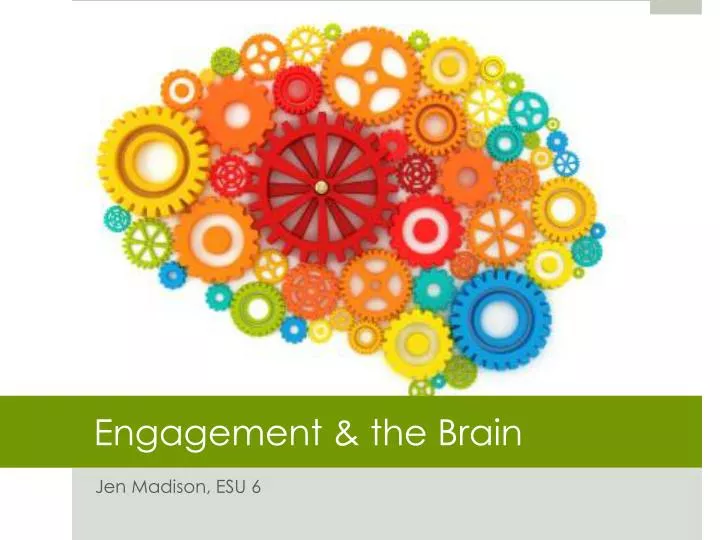 engagement the brain