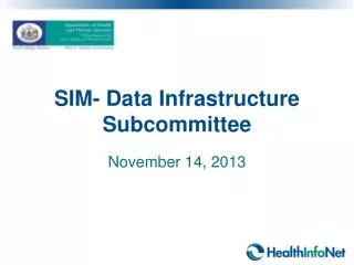 SIM- Data Infrastructure Subcommittee