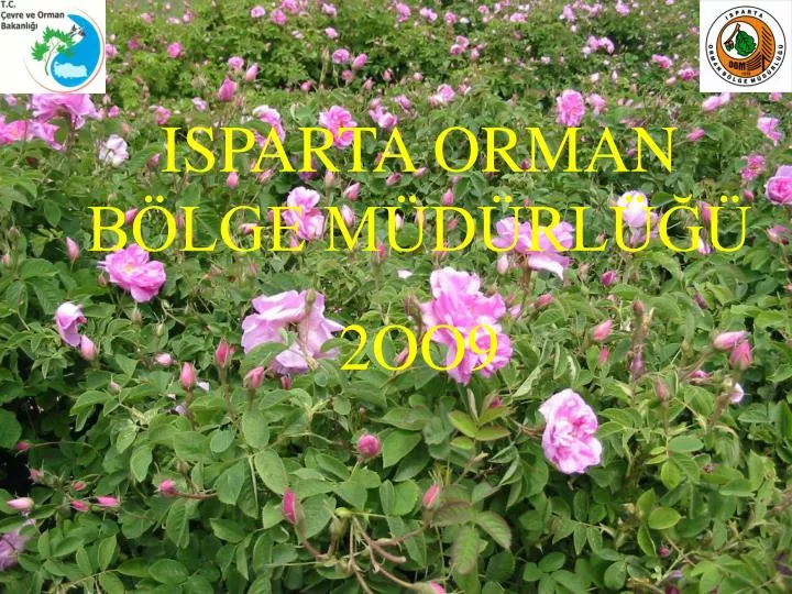 isparta orman b lge m d rl