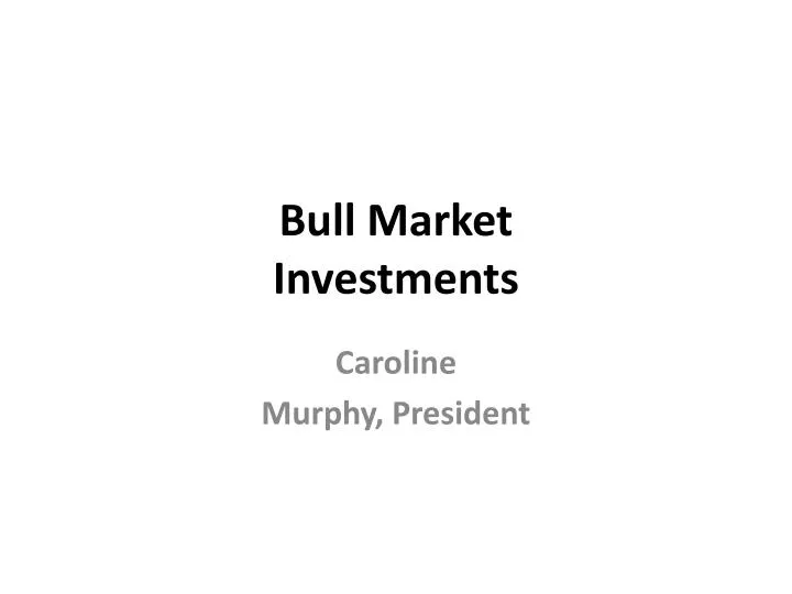 bull market investments