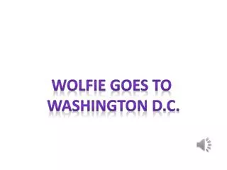Wolfie Goes To Washington D.C.