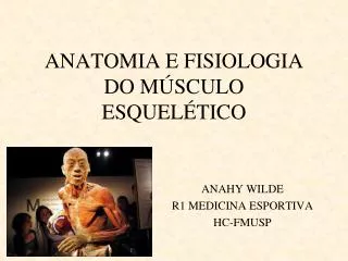 anatomia e fisiologia do m sculo esquel tico