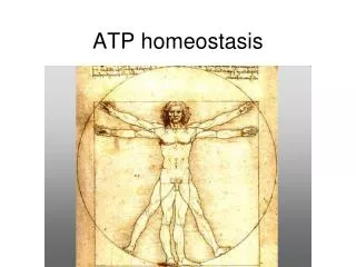 ATP homeostasis