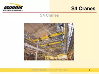 S4 Cranes