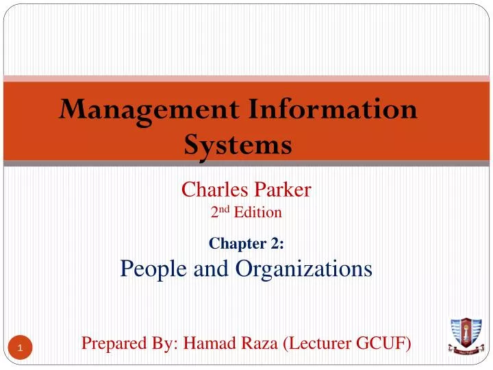 management information systems