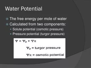 Water Potential