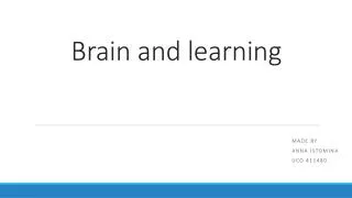 Brain and learning