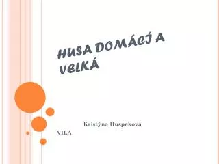husa dom c a velk