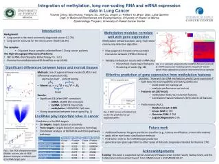 Integration of methylation, long non-coding RNA and mRNA expression data in Lung Cancer