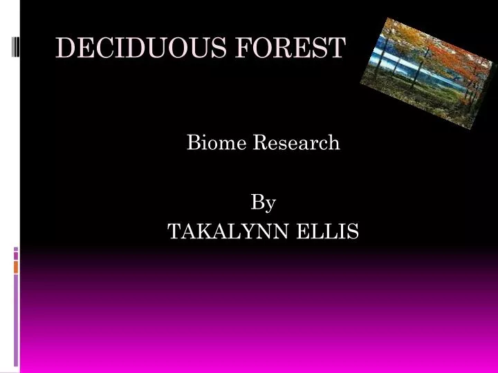 deciduous forest