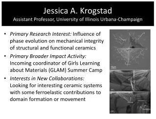 Jessica A. Krogstad Assistant Professor, University of Illinois Urbana-Champaign