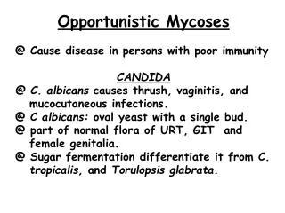 Opportunistic Mycoses @ Cause disease in persons with poor immunity CANDIDA