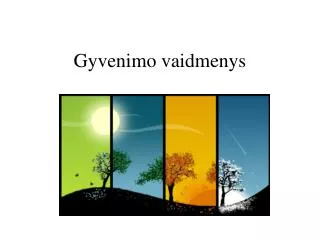 gyvenimo vaidmenys
